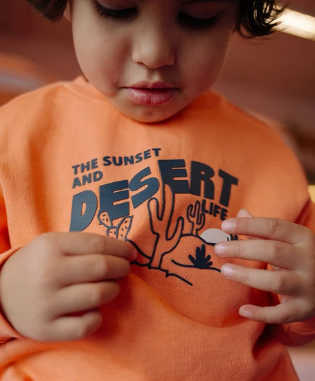 Stains & Stories Sweater Desert