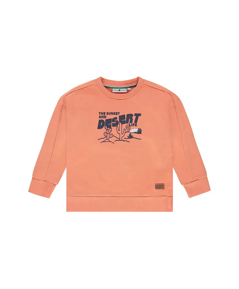 Stains & Stories Sweater Desert