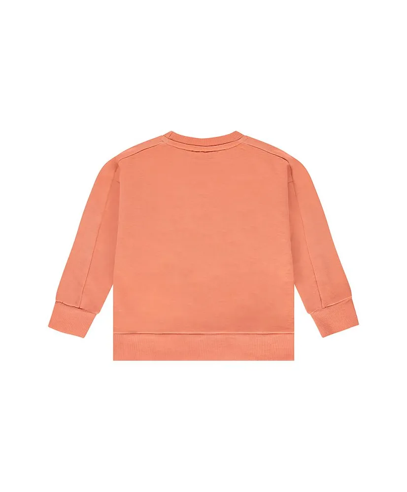 Stains & Stories Sweater Desert