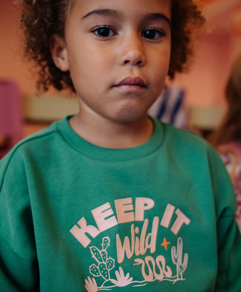Stains & Stories Sweater Keep It Wild