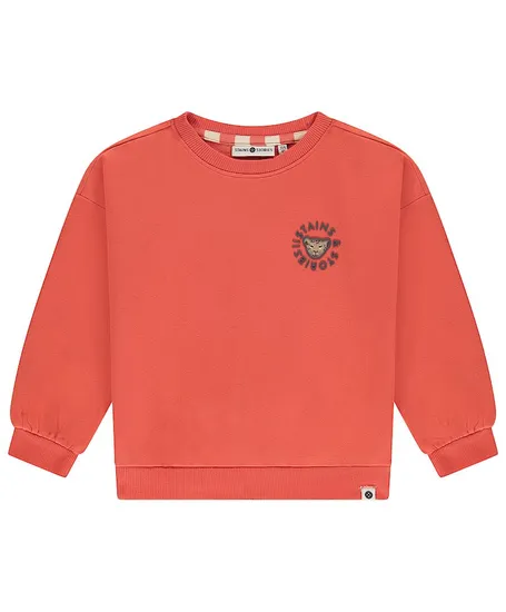 Stains & Stories Sweater Luipaard