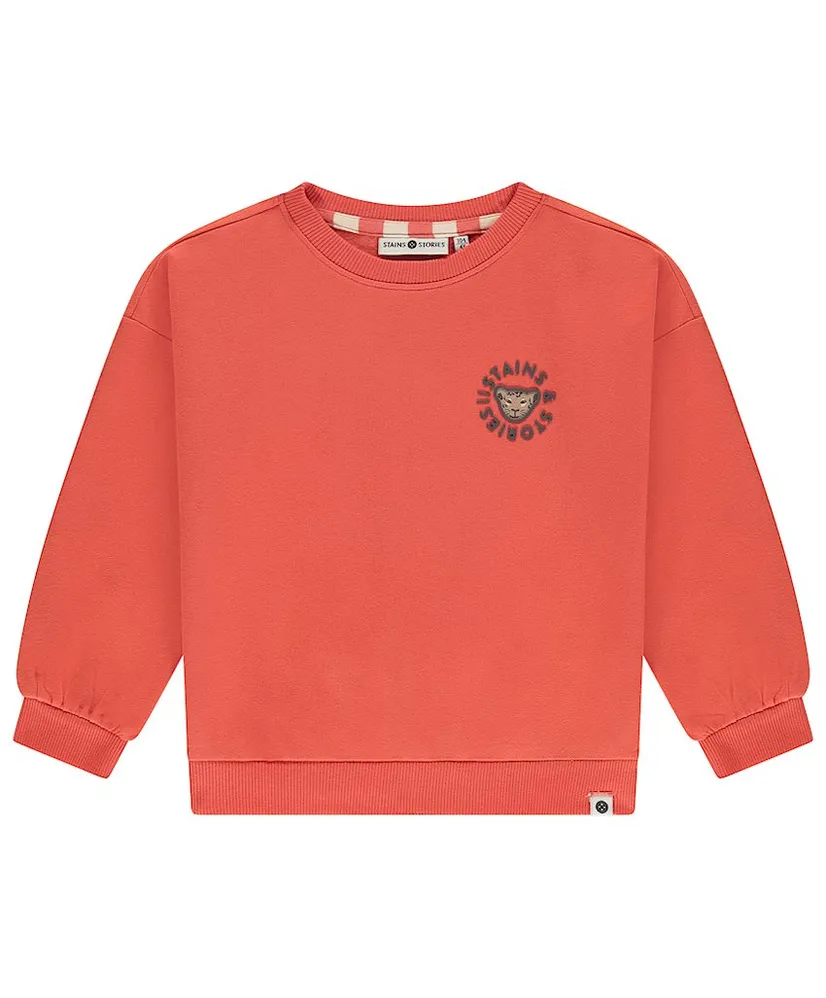 Stains & Stories Sweater Luipaard