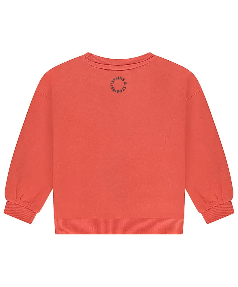 Stains & Stories Sweater Luipaard