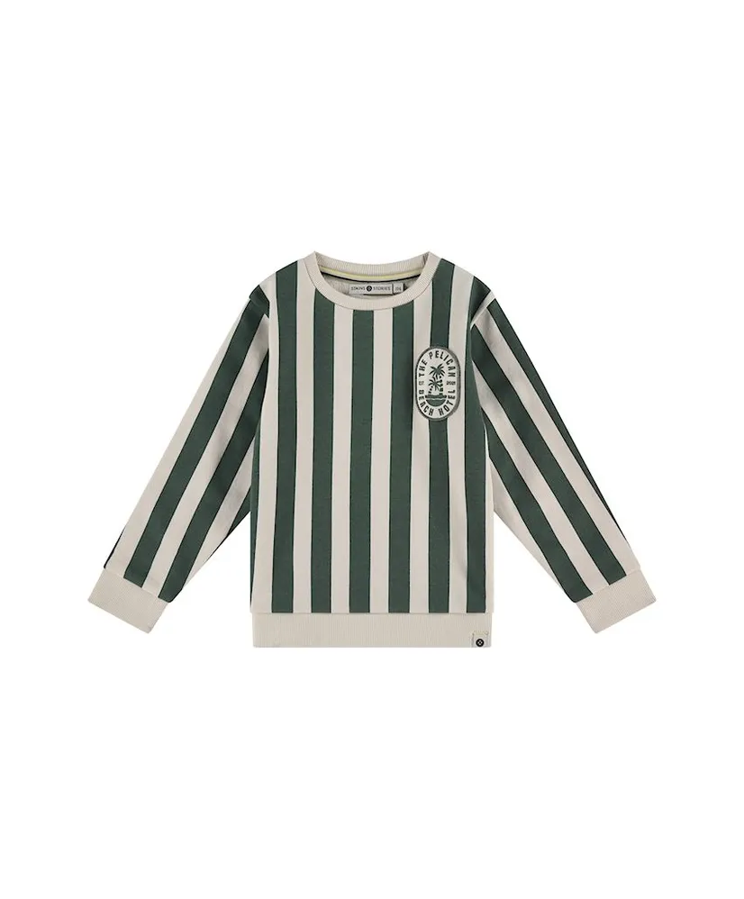 Stains & Stories Sweatshirt Gestreept