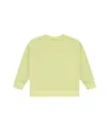 Stains & Stories Sweatshirt The Pelican