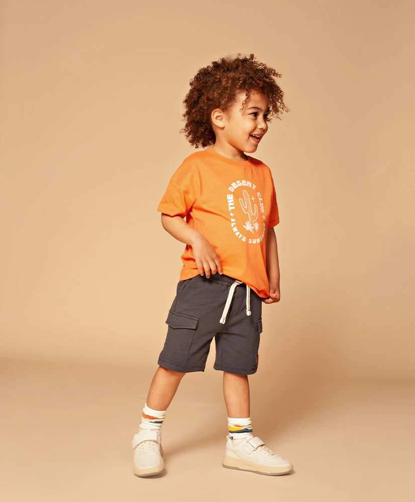 Stains & Stories T-shirt The Desert