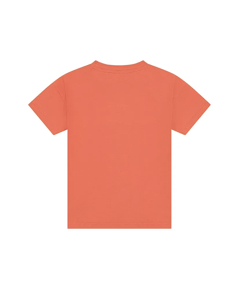 Stains & Stories T-shirt The Desert