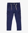 STURDY Cargo Broek Waves And Whale