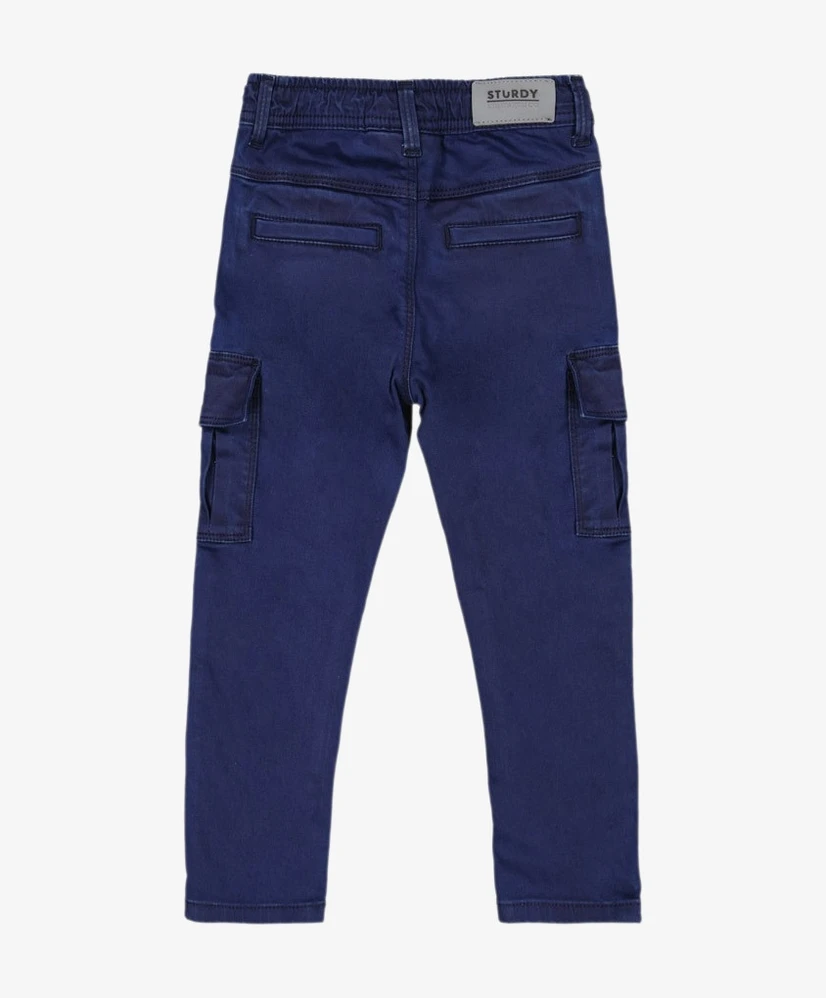 STURDY Cargo Broek Waves And Whale
