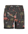 STURDY Short Happy Rio