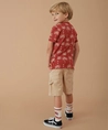 STURDY Short Summer Denims