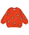 STURDY Sweater Chasing Trails