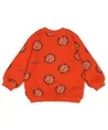 STURDY Sweater Chasing Trails