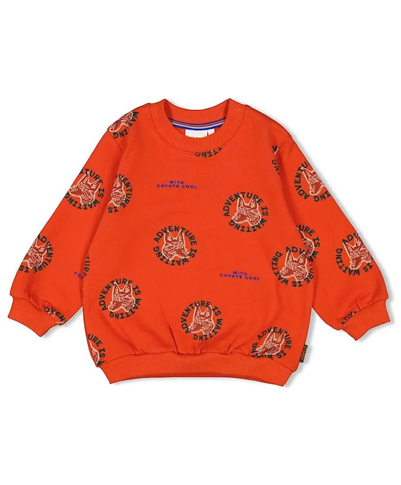 STURDY Sweater Chasing Trails
