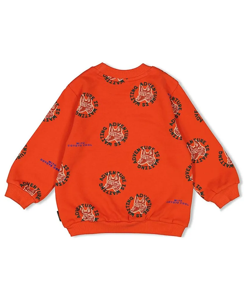 STURDY Sweater Chasing Trails
