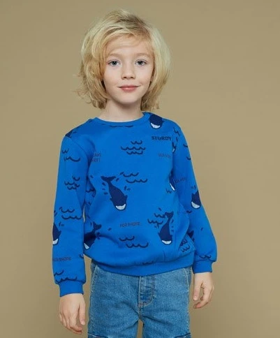 STURDY Sweater Waves And Whales