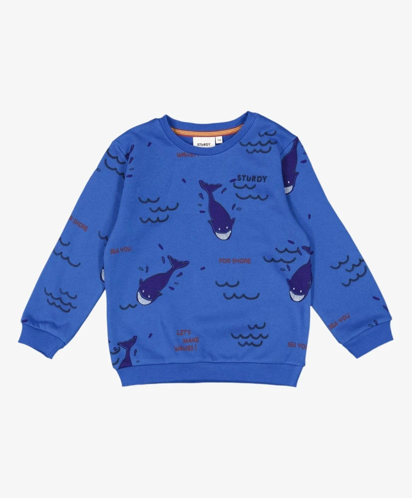 STURDY Sweater Waves And Whales