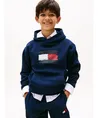 Tommy Hilfiger Hoodie Flag