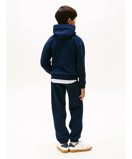 Tommy Hilfiger Hoodie Flag