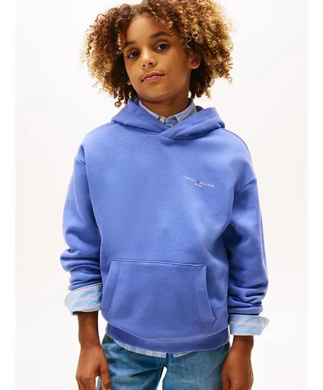 Tommy Hilfiger Hoodie Mini Logo