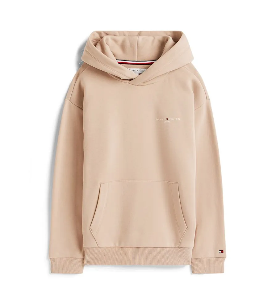 Tommy Hilfiger Hoodie Mini Logo