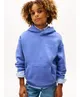 Tommy Hilfiger Hoodie Mini Logo