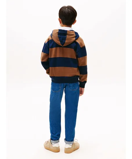 Tommy Hilfiger Hoodie Varsity Stripe