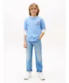 Tommy Hilfiger Jeans Skater