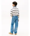 Tommy Hilfiger Jeans Skater