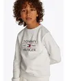 Tommy Hilfiger Sweater Flag