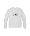 Tommy Hilfiger Sweater Flag