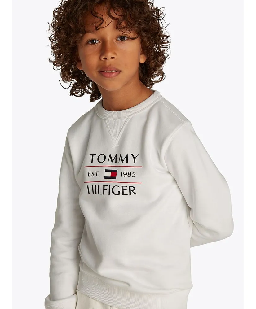 Tommy Hilfiger Sweater Flag