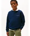 Tommy Hilfiger Sweater Mini Corp