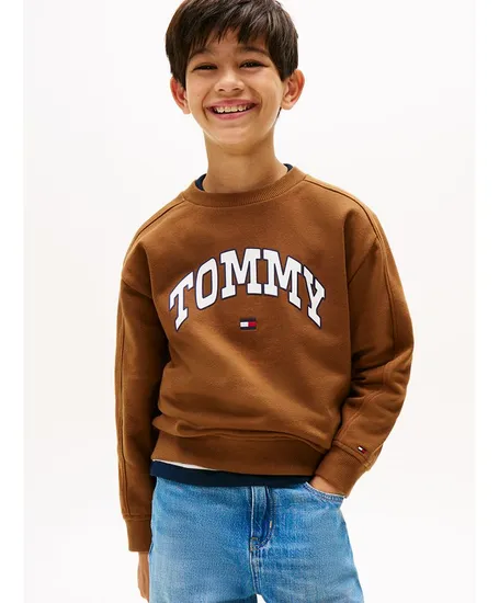 Tommy Hilfiger Sweater Varsity Raised