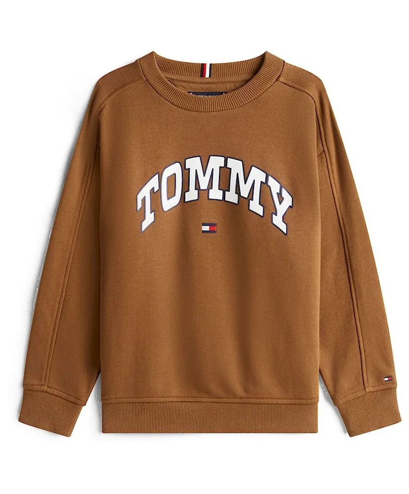Tommy Hilfiger Sweater Varsity Raised