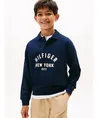 Tommy Hilfiger Sweatshirt Graphic