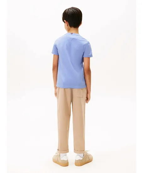 Tommy Hilfiger T-shirt Essential