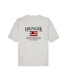 Tommy Hilfiger T-shirt Flag Terry
