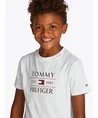 Tommy Hilfiger T-shirt Flag