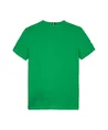 Tommy Hilfiger T-shirt Flag