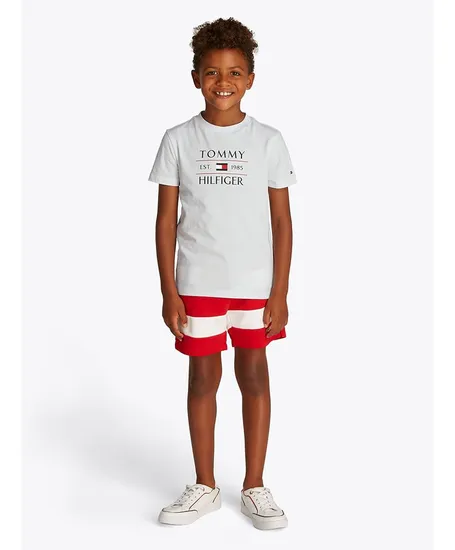 Tommy Hilfiger T-shirt Flag