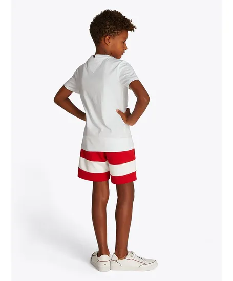 Tommy Hilfiger T-shirt Flag