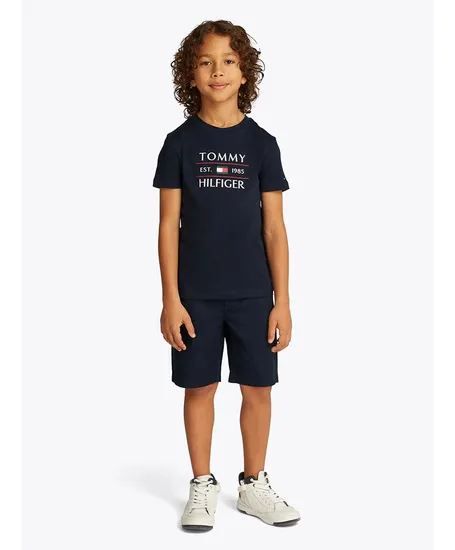 Tommy Hilfiger T-shirt Flag