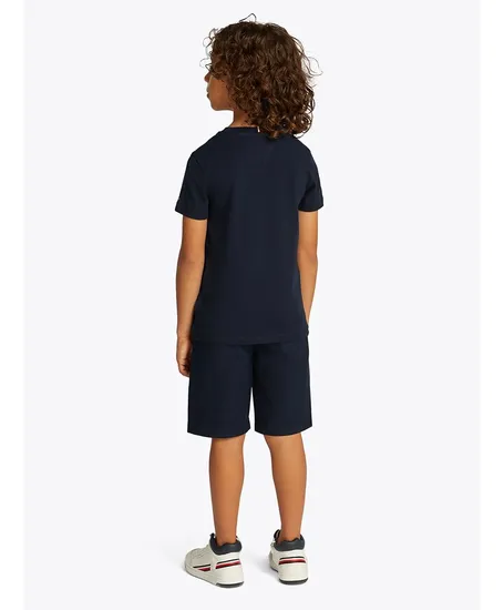 Tommy Hilfiger T-shirt Flag