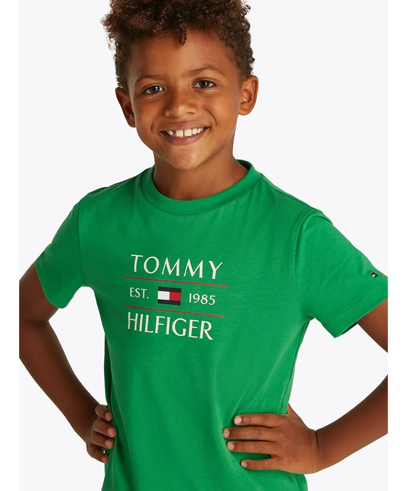 Tommy Hilfiger T-shirt Flag