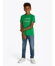Tommy Hilfiger T-shirt Flag