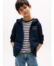 Tommy Hilfiger Vest Flag