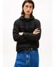 Tommy Jeans Hoodie Linear Logo
