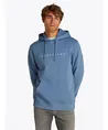 Tommy Jeans Hoodie Logo