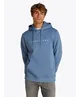 Tommy Jeans Hoodie Logo